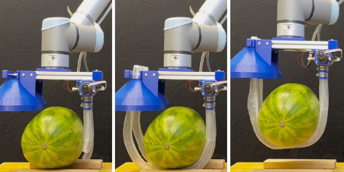 Vine-Inspired Robot Fingers: A New Era in Gentle Robotics