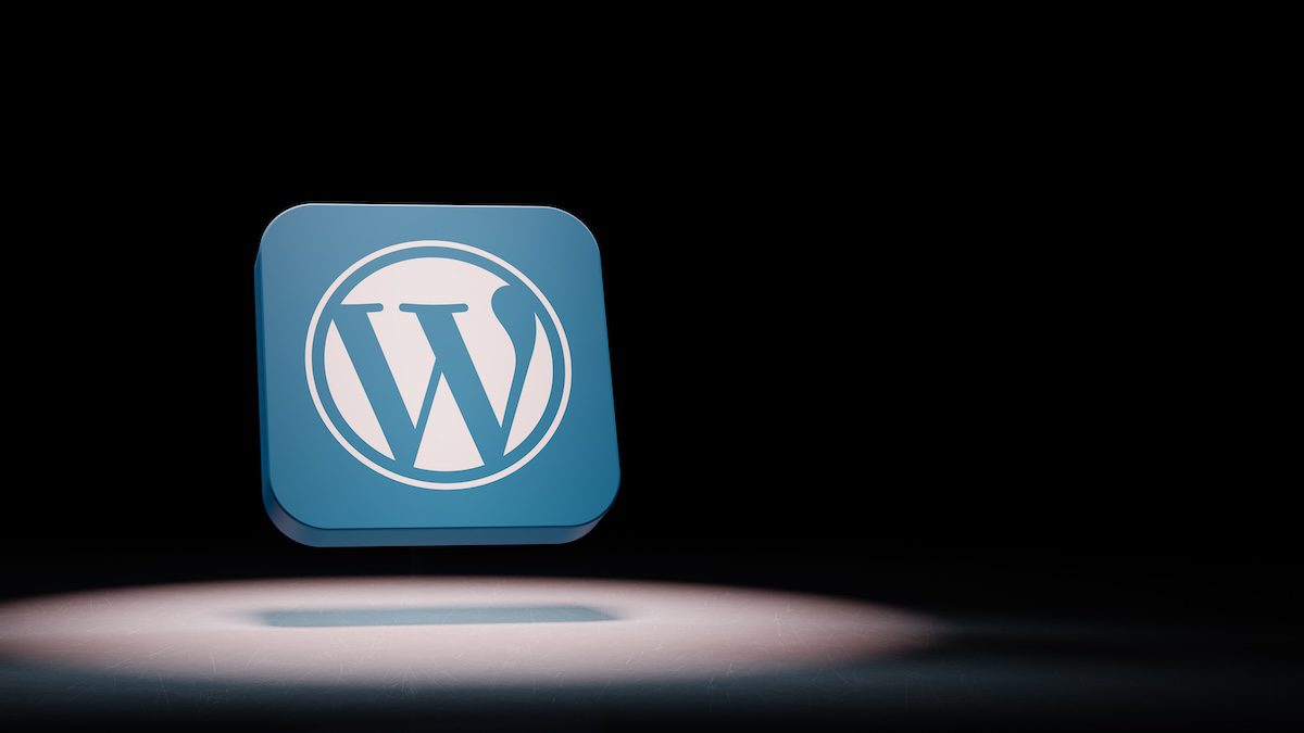 Ally WordPress Plugin Vulnerability