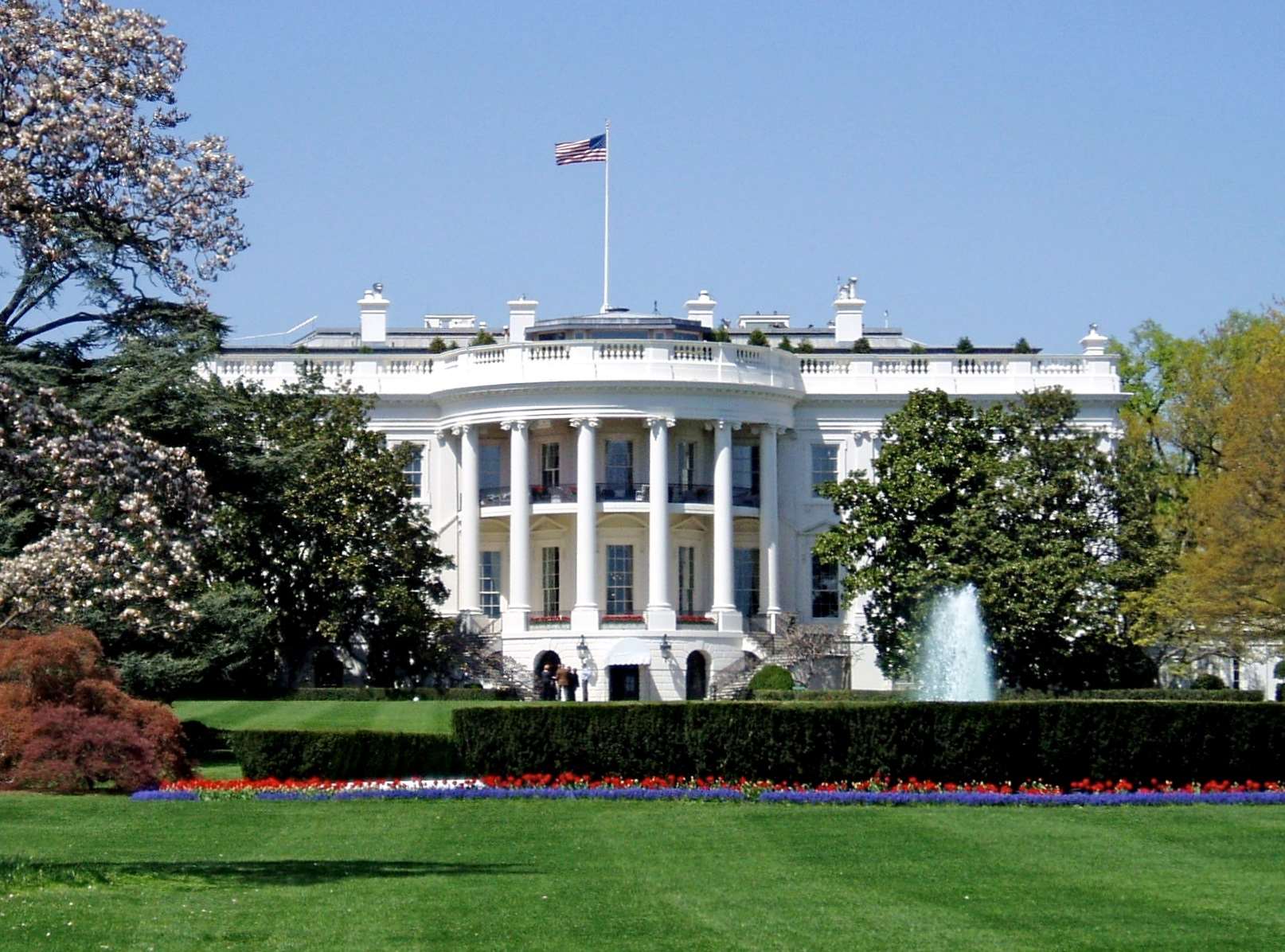 US Agencies Ban Anthropic AI Products: What It Means for Tech