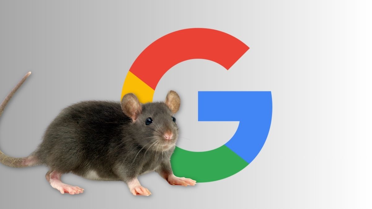 How Malicious Sites Exploit Browsers for Surveillance