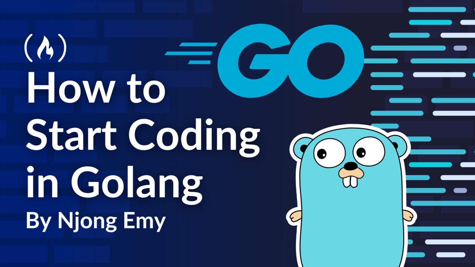 Master Golang Basics: A Beginner's Guide