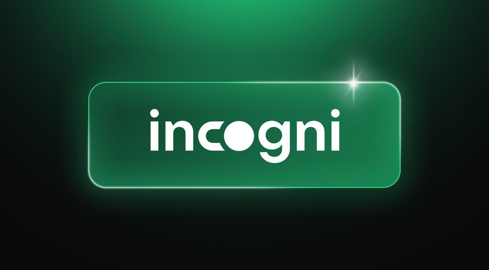 Incogni Review: Effective Data Removal Service