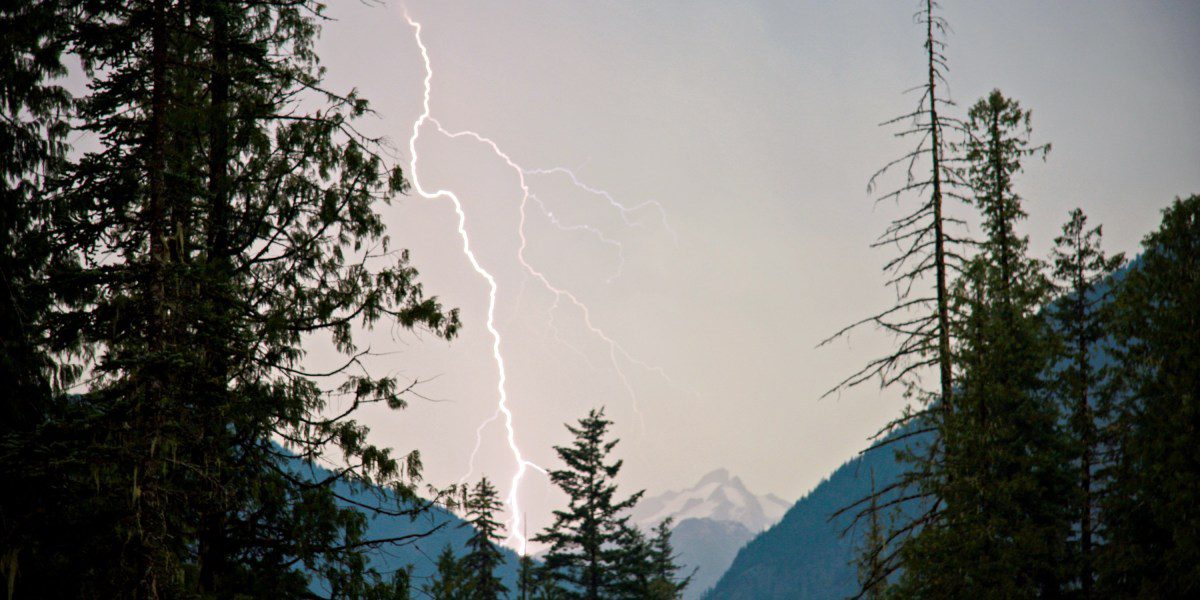 Lightning Prevention Tech: Can Startups Stop Wildfires?