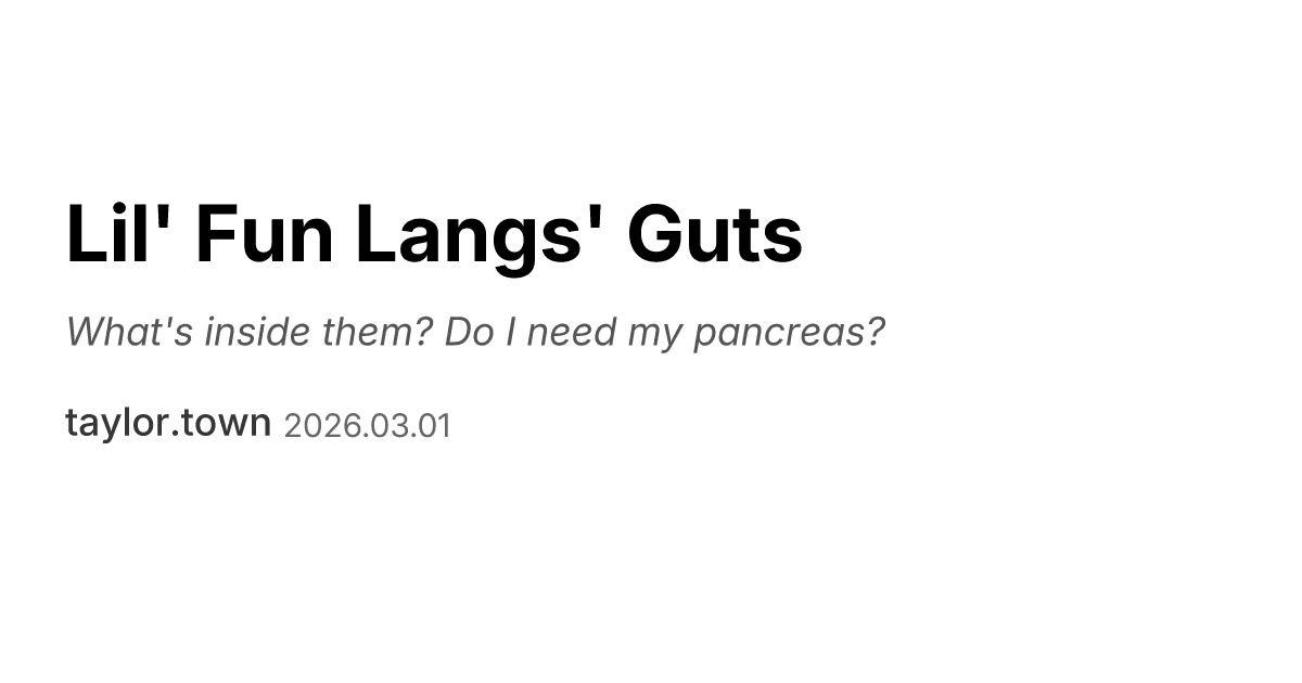 Understanding Lil' Fun Langs: A Deep Dive