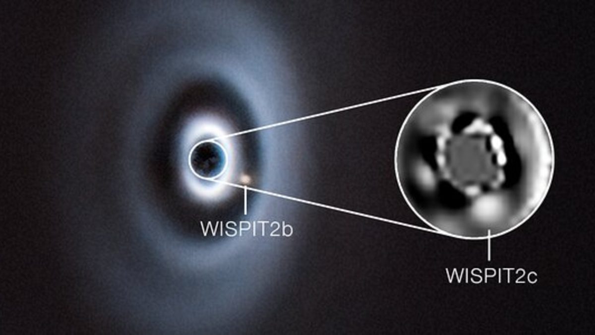 Unveiling the WISPIT 2 System: A Glimpse into Planetary Formation