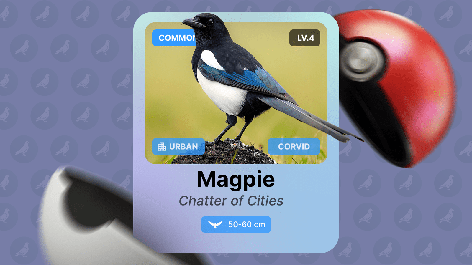 Pokémon-Style Birding App: Why It's Changing How We Explore Nature