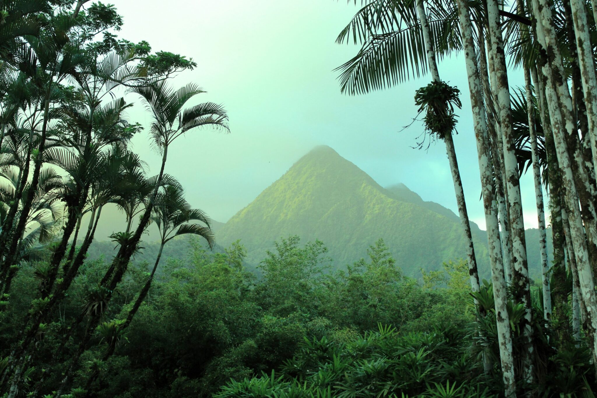Taming the SQL Jungle: Structuring Data Transformations
