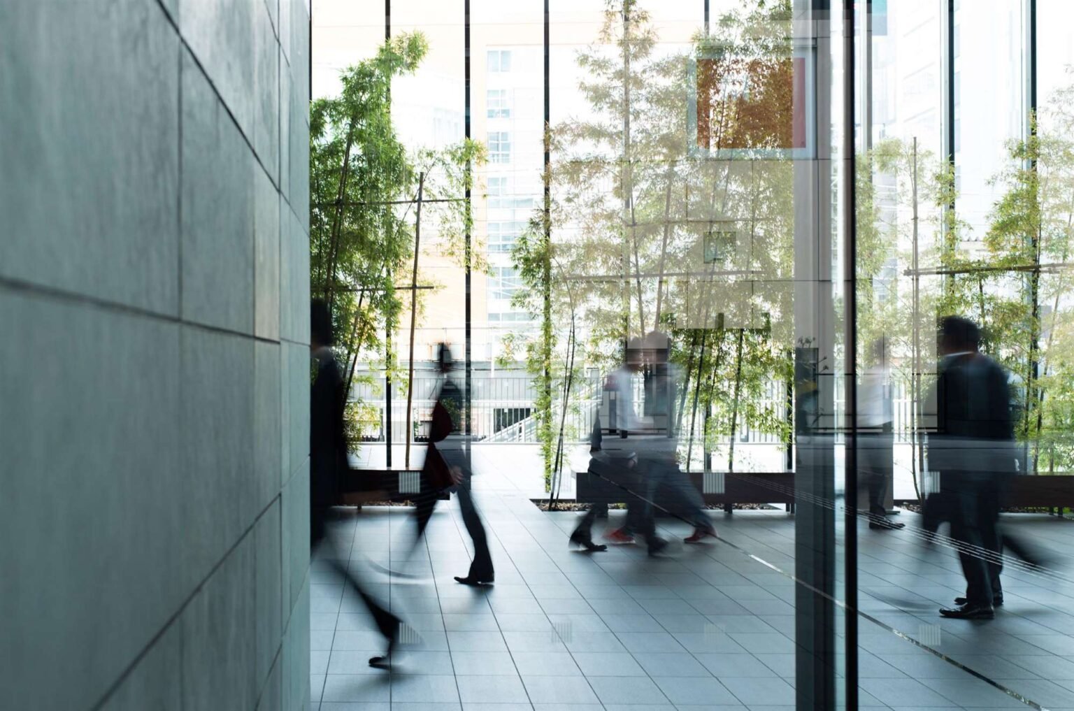 Lion's Group Tech Director Departs Amid Restructuring