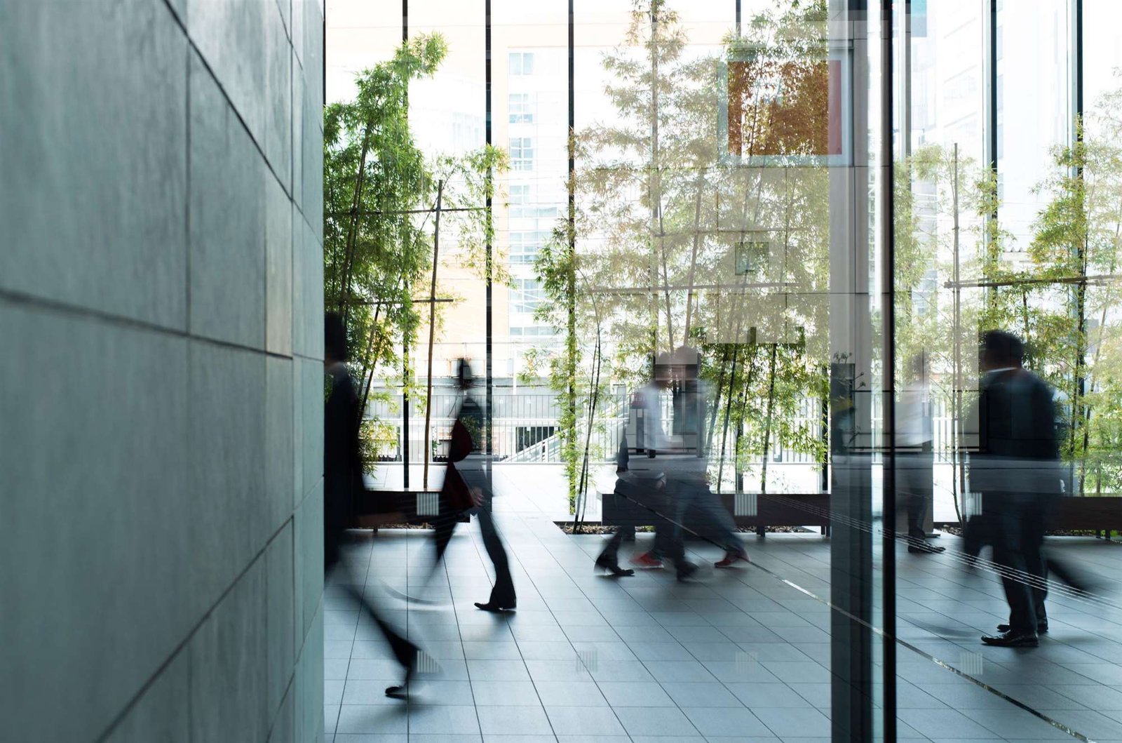 Lion's Group Tech Director Departs Amid Restructuring