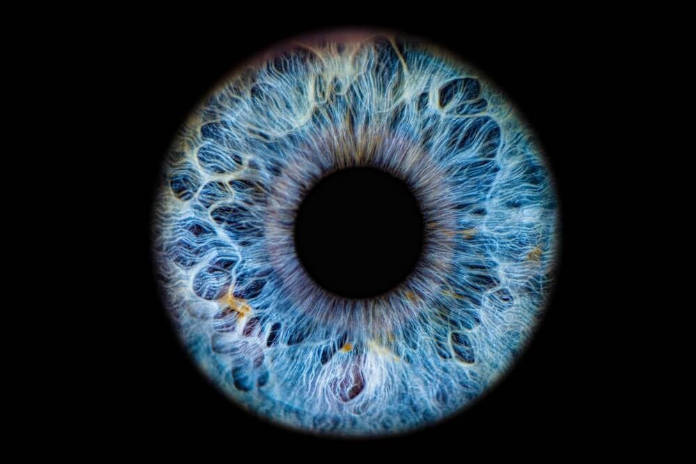 WorldCoin's New Pitch: Scan Your Eyeballs to Prove AI Agents Really Represent You