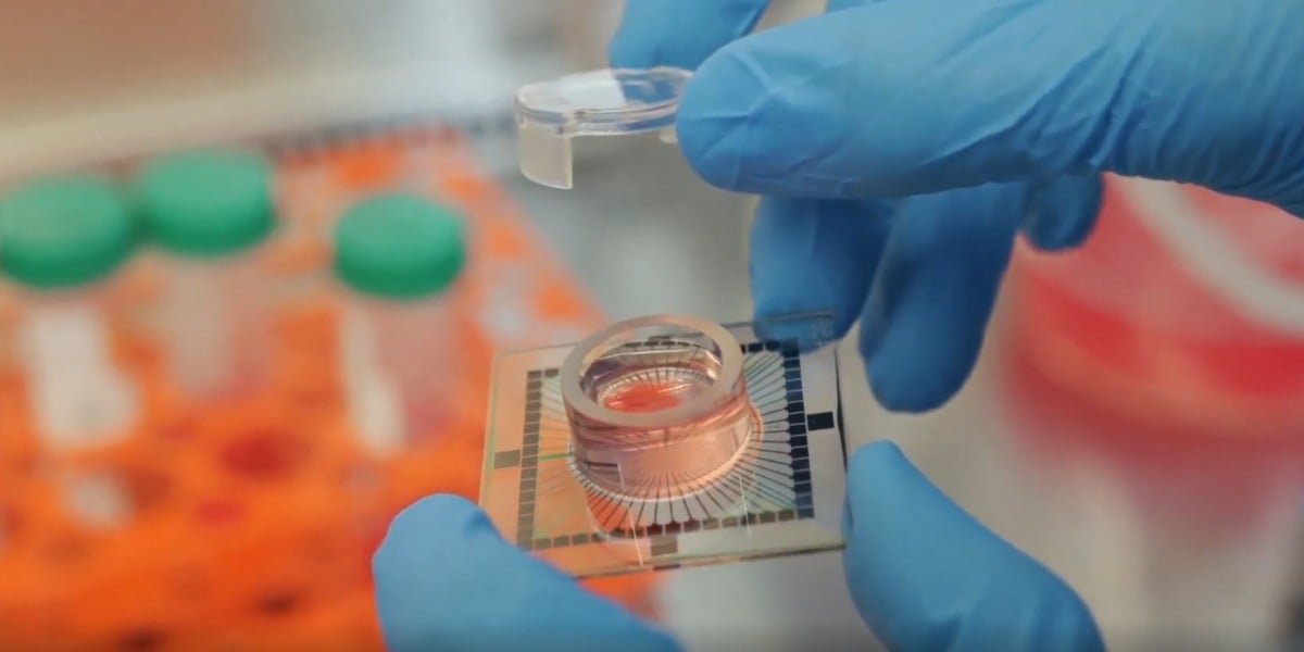 Biological Computing: The Future of Cloud Tech?