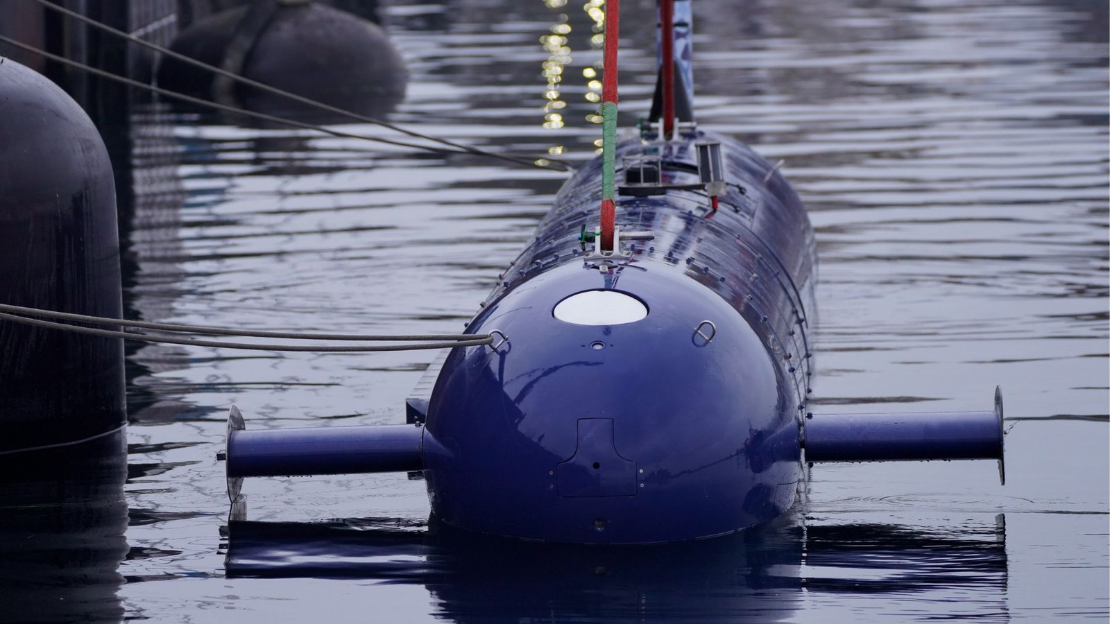 Germany’s BlueWhale AI Submarine Hunter: The Future of Naval Warfare?
